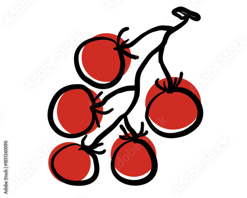 Cherry tomatoes doodle vector illustration isolated.
