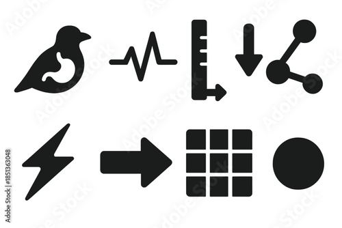 Avian Internal Analysis Icons. Solid style icons of avian internal analysis: bird stomach, pulse line, measurement marker, data
