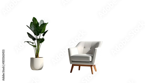 Modern minimalist interior scene of a potted plant and a white armchair on black backdrop