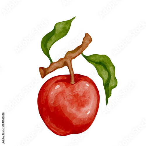 Ripe red apple, juicy fruit. Vector graphics.