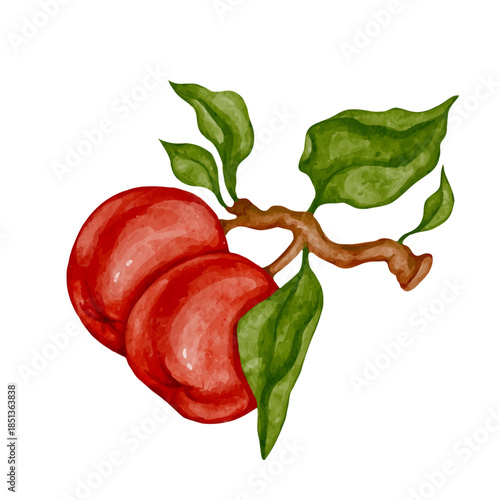 Ripe red apple, juicy fruit. Vector graphics.