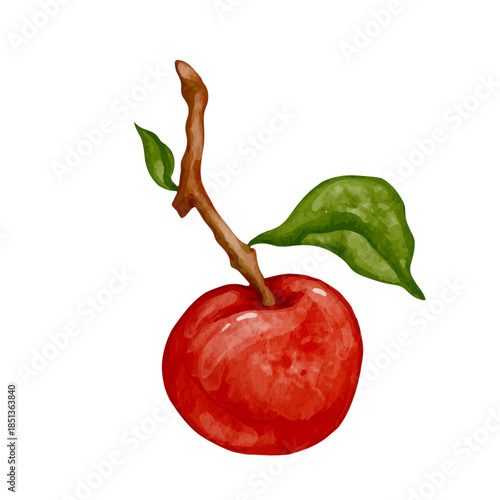 Ripe red apple, juicy fruit. Vector graphics.