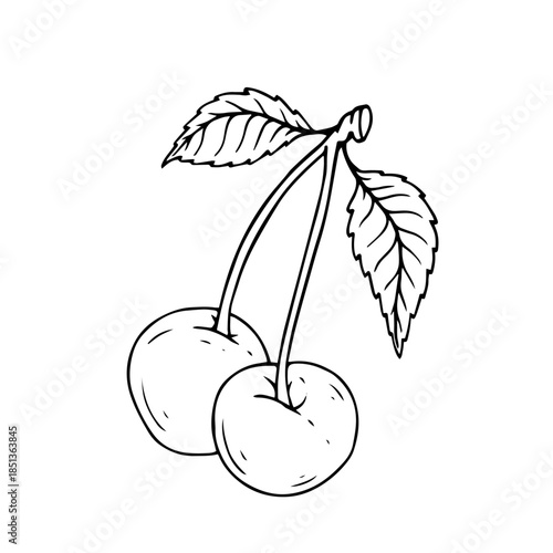 Simple line sketch of a summer cherry with leaves. Vector graphics.