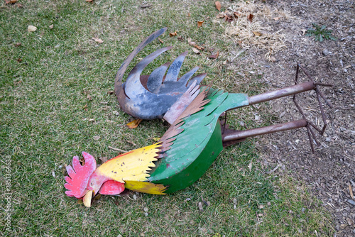 Large Colorful Metal Rooster Statue Fallen on Green Grass Backyard Lawn