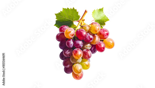 A cluster of colorful grapes, some red, purple, and green with leaves, on black