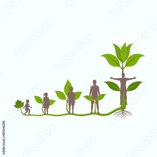 Illustration of human life stages represented as a growing plant, from infancy to adulthood.