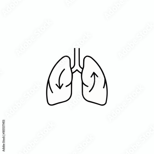 Human lungs with arrows indicating airflow