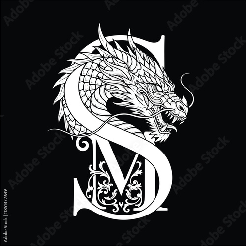 Dragon and S Letter Logo Design.