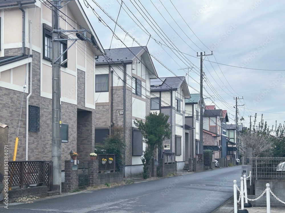 Fototapeta premium 住宅地域の隣接する戸建て住宅