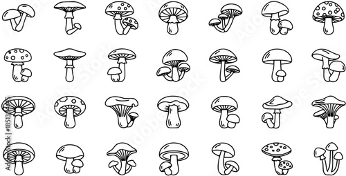 Hand-drawn mushroom doodle icon set. Various types of fungi outlines, black and white illustrations for nature, autumn, and food designs.