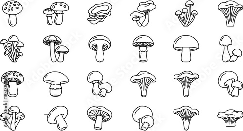 Detailed line art mushroom icons set. Various edible and wild fungi outline illustrations collection for nature, food, and organic concepts.