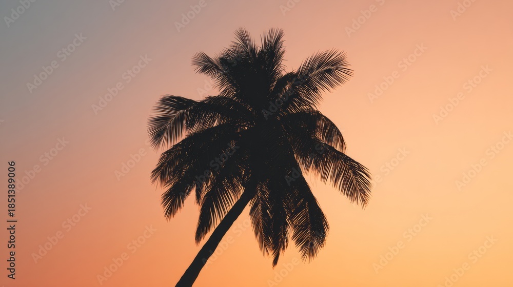 Obraz premium breeze. A solitary coconut tree with textured trunk stands against a gradient sky, evoking tropical serenity. travel magazines, destination branding, designed for travel destination branding. 