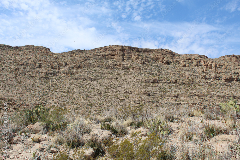 Fototapeta premium Cliff at Big Bend National Park in Texas with desert plants in front of it with cirrocumulus clouds