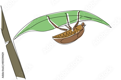 One line drawing of a june bug clinging under a green leaf, reflecting nature concept and insect diversity, designed in honor of June Bug Day international event celebration.