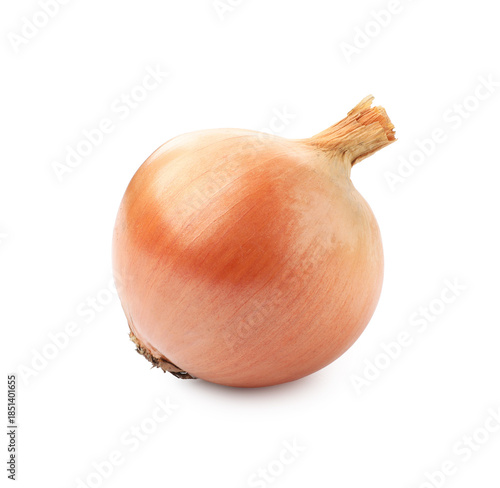 Wallpaper Mural One fresh onion bulb isolated on white Torontodigital.ca