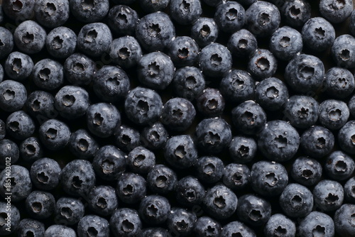 Blueberries with water drops close up studio shot over