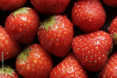 Strawberry with water drops close up studio shot over