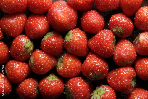 Strawberry with water drops close up studio shot over
