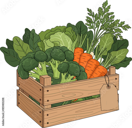 Fresh Vegetables in Wooden Crate.