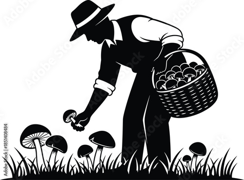 Silhouette of farmer picking mushrooms in forest field, man harvesting organic mushrooms with basket, rural agriculture vector illustration for nature concept design