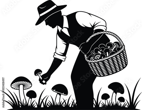 Silhouette of farmer picking mushrooms in meadow field, man collecting wild mushrooms with basket, agriculture and organic farming vector illustration