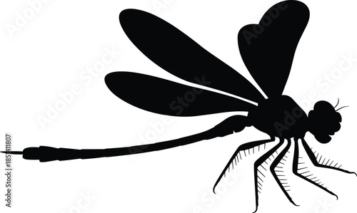 Detailed dragonfly insect silhouette vector illustration, black flying insect design, nature wildlife symbol, entomology art concept, isolated dragonfly for environmental artwork