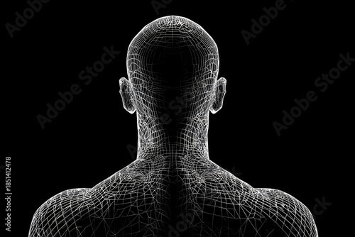 Wireframe rendering of human head and shoulders from behind