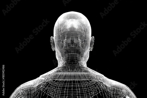 Wireframe rendering of a human head and shoulders, viewed from behind