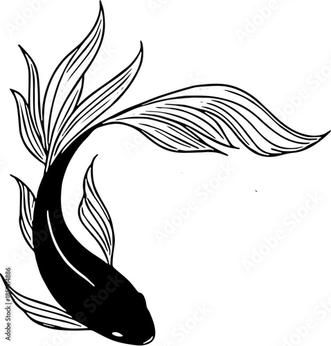 Koi fish black and white tattoo