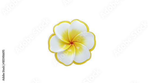 Plumeria Flower Isolated on White Background