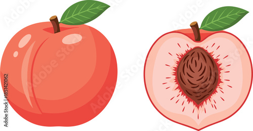 Whole and Half Peach Fruit with Leaf – Fresh Juicy Summer Produce Vector Illustration for Botanical, Culinary, and Educational Use
