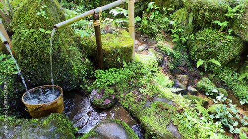 水汲み場の湧き水