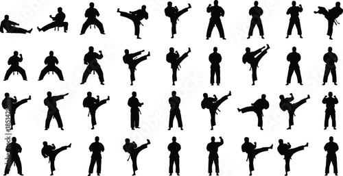 Martial arts silhouette collection showing karate fighters performing kicks, punches, stances and training poses isolated on white for sports design