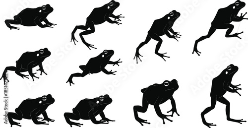 Frog silhouette collection, dynamic jumping and walking amphibian poses, wildlife nature illustration set for animal design, movement graphics, reptile art elements