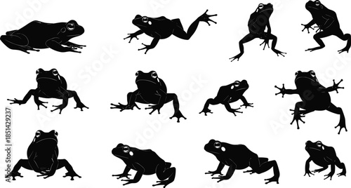 Frog silhouette collection, various amphibian poses, jumping and standing frog illustrations, wildlife animal vector set for nature design and creative projects