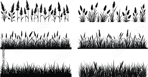 Grass and plant silhouettes collection, natural foliage illustration, botanical design elements, landscape resources, ecology concept art, isolated vector nature patterns