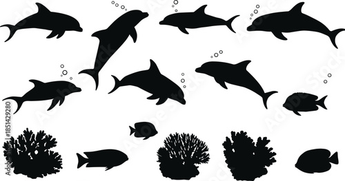 Marine life silhouettes, dolphin and fish illustration, underwater coral artwork, ocean wildlife design, aquatic ecosystem icons, sea animals, oceanography, nature