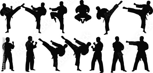 Martial arts silhouettes, karate, taekwondo, high kick, punch, defense, meditation, discipline, strength, balance, training, combat, action, pose, uniform, black 