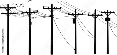 Silhouette of multiple electric utility poles with birds and power lines, minimalist black and white urban electricity vector illustration art.