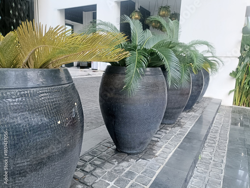 Modern outdoor plant pot, large black planter, tropical palm foliage, decorative garden row