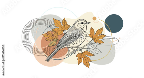 Artistic composition featuring a hand-drawn song thrush perched on a maple branch with autumn leaves against abstract geometric shapes.