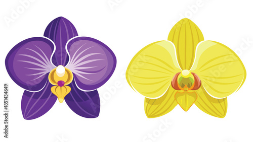 A beautiful illustration of a bouquet of purple and yellow orchids on a white background. Vector illustration.