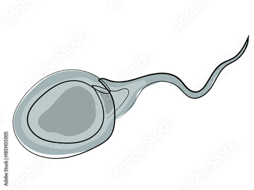 Sperm in the form of a continuous line pattern.