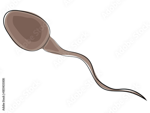 Sperm in the form of a continuous line pattern.