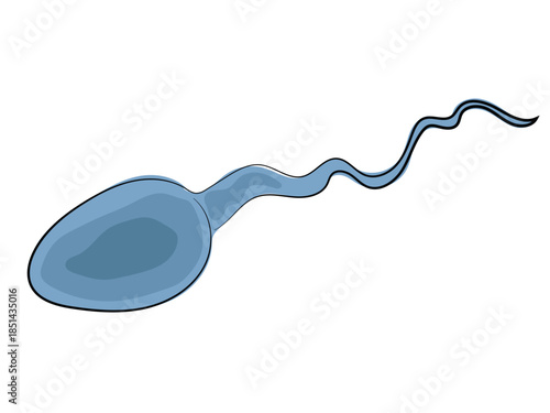 Sperm in the form of a continuous line pattern.