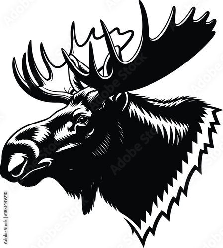 Majestic moose head illustration, wild animal profile graphic
