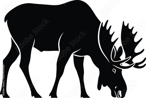 Black silhouette of a large wild moose with impressive antlers