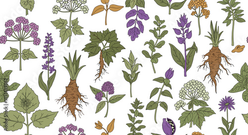 A colorful seamless pattern of various medicinal plants and roots, such as mandrake and valerian, drawn in a vintage botanical style.