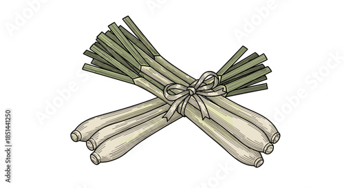 Hand-drawn bundle of fresh lemongrass stalks tied with a string in a colorful vintage botanical illustration style.