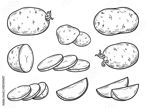 Black and white line drawing illustration of whole and sliced potatoes. Simple vector design.